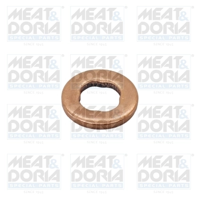 Seal Ring, injector